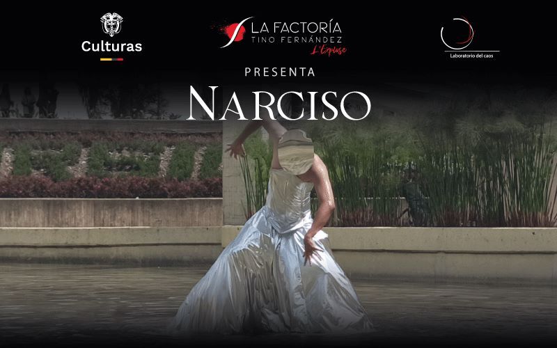 Narciso img obra